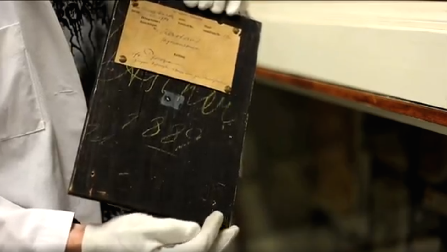 Tatiana Calasans, Hamburg