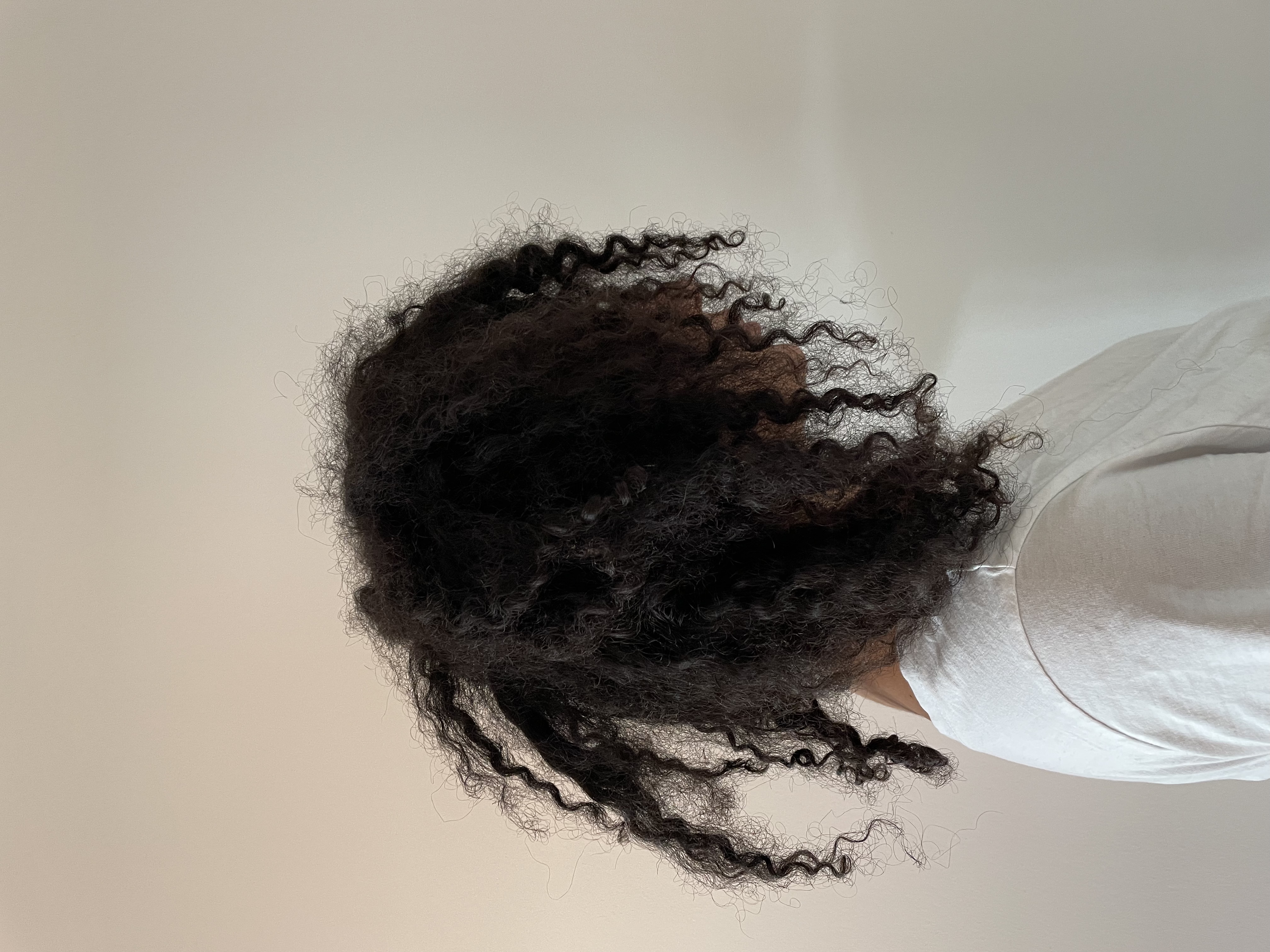 Tatiana Calasans, Hamburg