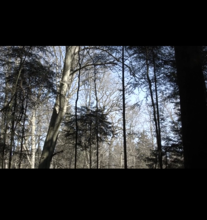 Tatiana Calasans, Hamburg