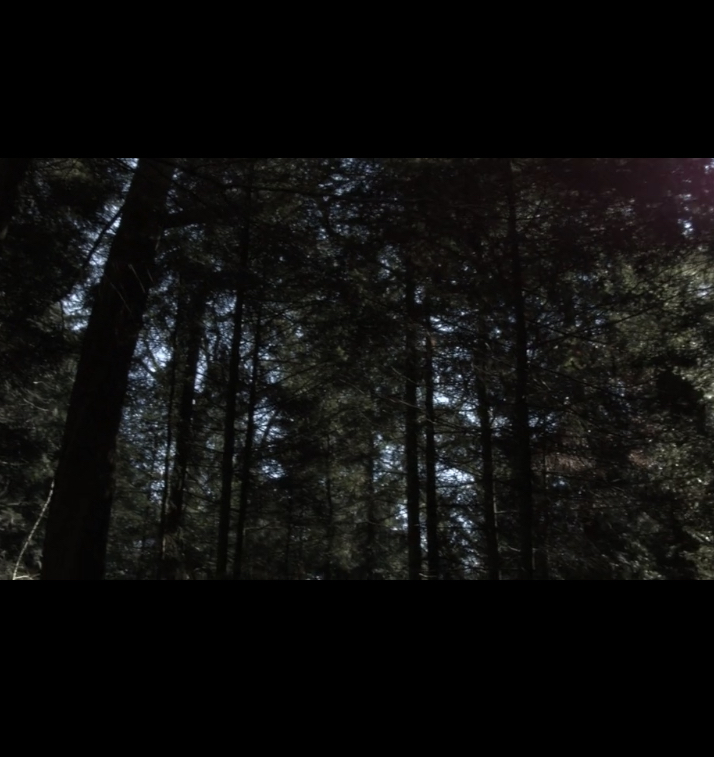 Tatiana Calasans, Hamburg